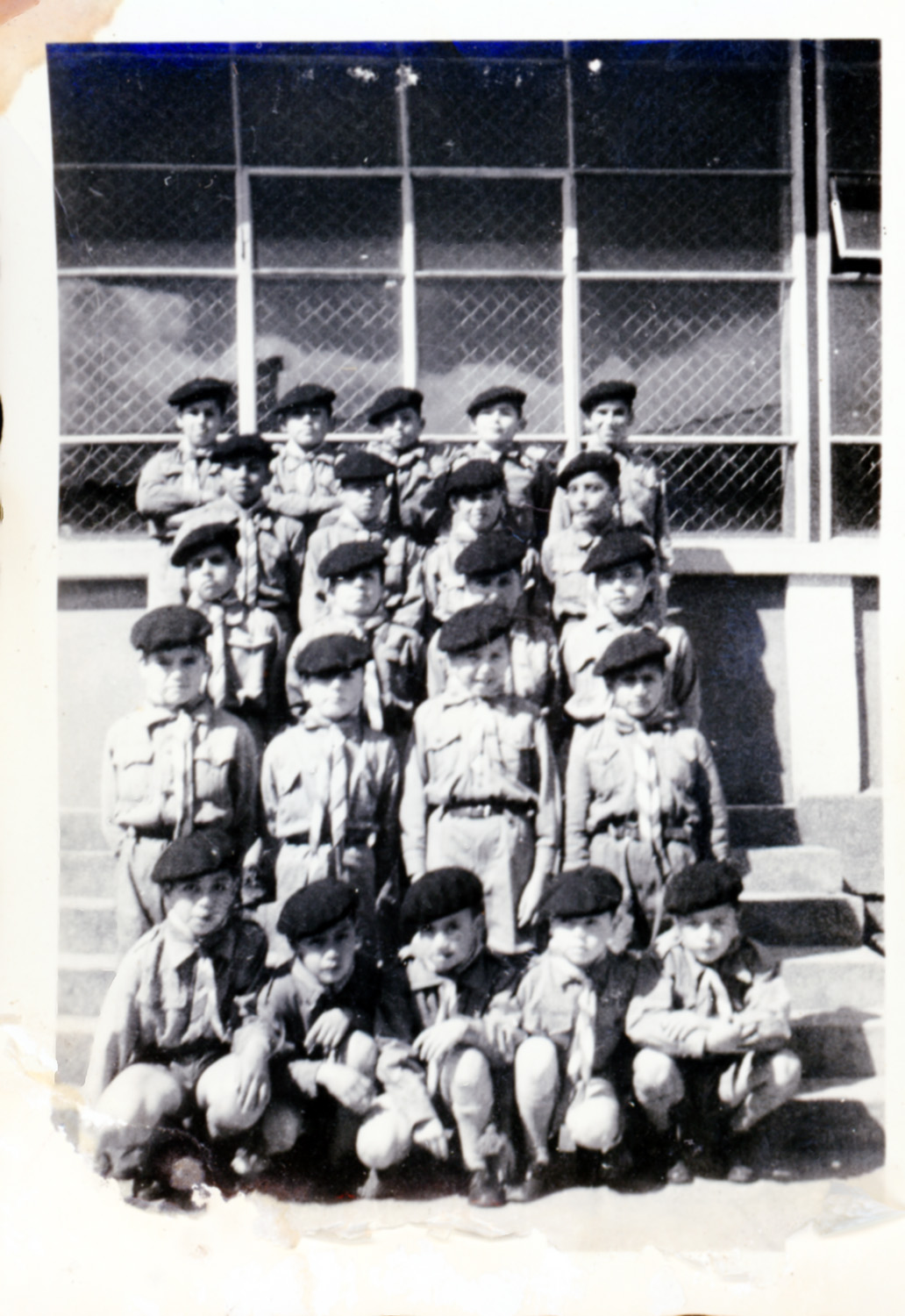 Scouts Scouts