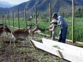 Criadero de ciervos Criadero de ciervos