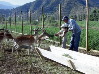 Criadero de ciervos