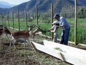 Criadero de ciervos