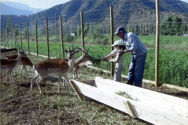 Criadero de ciervos