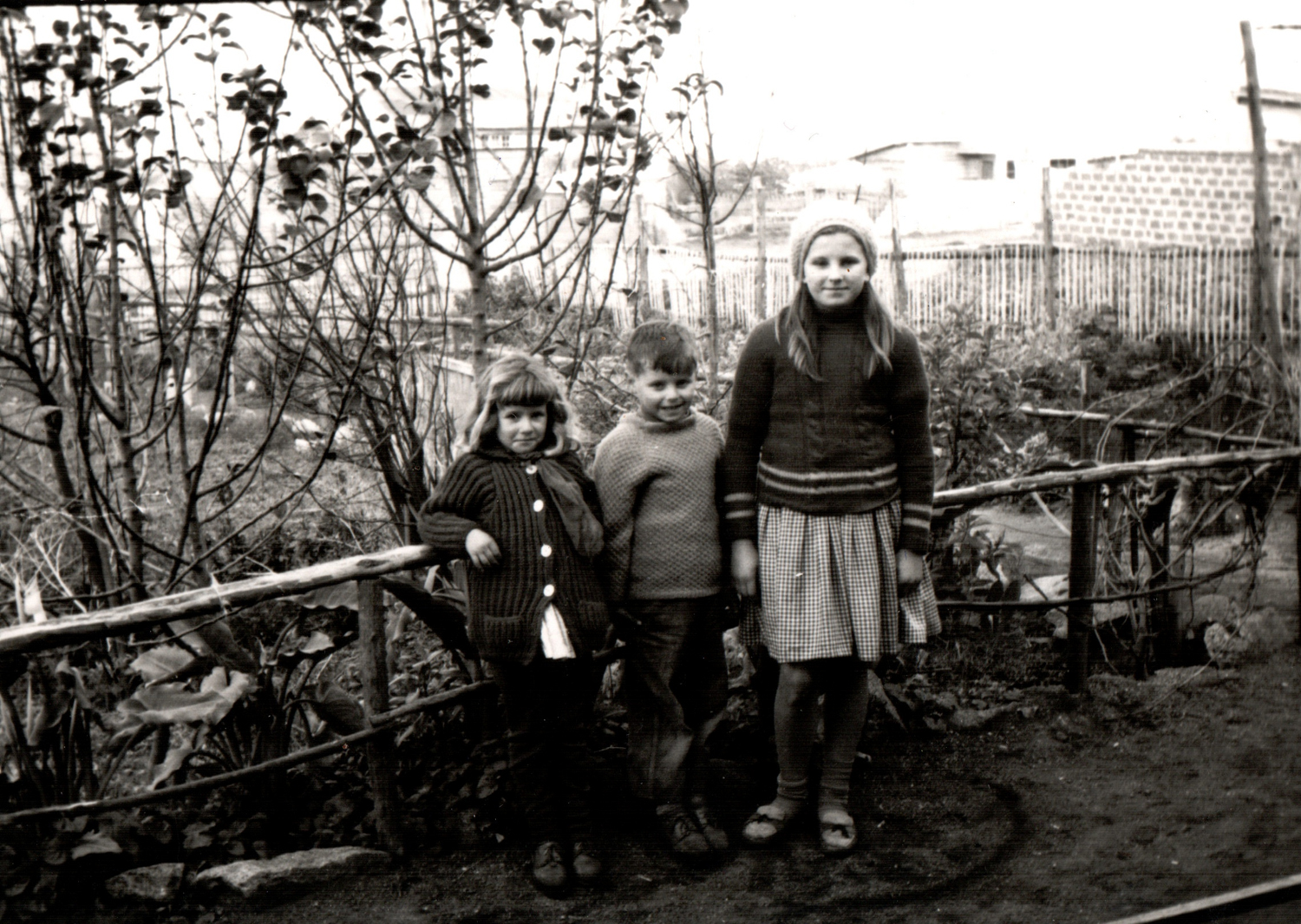 Mi madre y mis tíos Mi madre y mis tíos