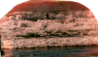 Surf Surf