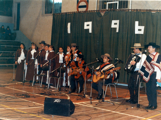 Animación en concurso de cueca