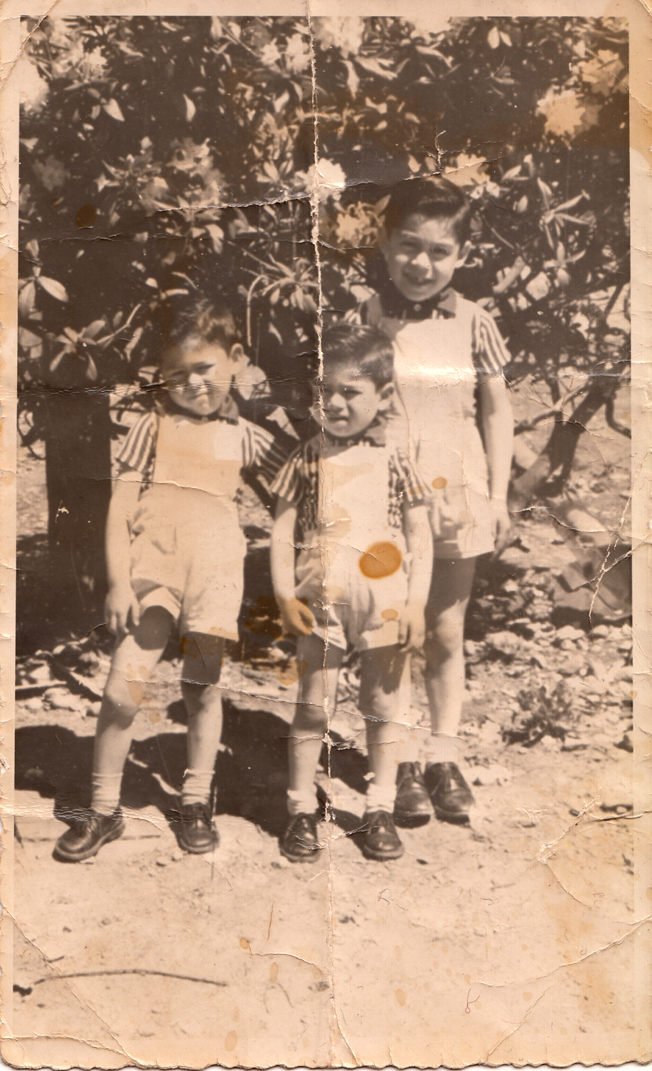 Hermanos Soto Parra Hermanos Soto Parra
