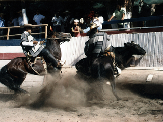 Atajando a novillo Atajando a novillo