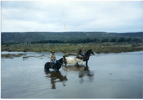 Cruce del estero Pachingo