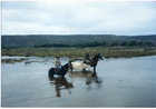 Cruce del estero Pachingo Cruce del estero Pachingo