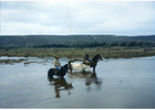 Cruce del estero Pachingo