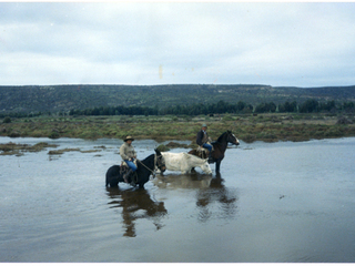 Cruce del estero Pachingo