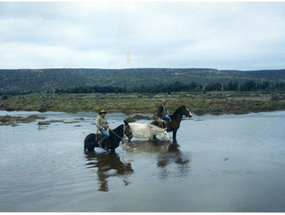 Cruce del estero Pachingo Cruce del estero Pachingo