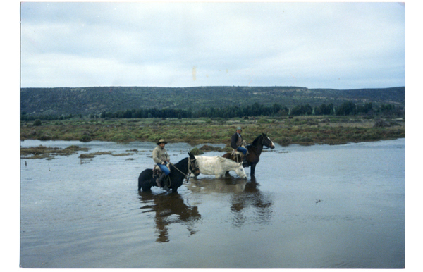 Cruce del estero Pachingo Cruce del estero Pachingo