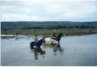 Cruce del estero Pachingo