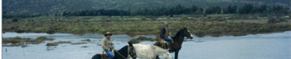 Cruce del estero Pachingo