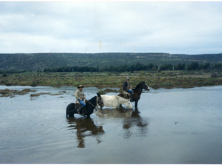 Cruce del estero Pachingo Cruce del estero Pachingo