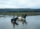 Cruce del estero Pachingo Cruce del estero Pachingo