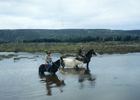 Cruce del estero Pachingo