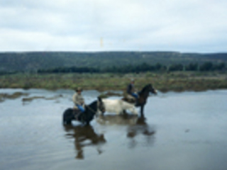 Cruce del estero Pachingo Cruce del estero Pachingo