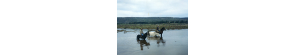 Cruce del estero Pachingo