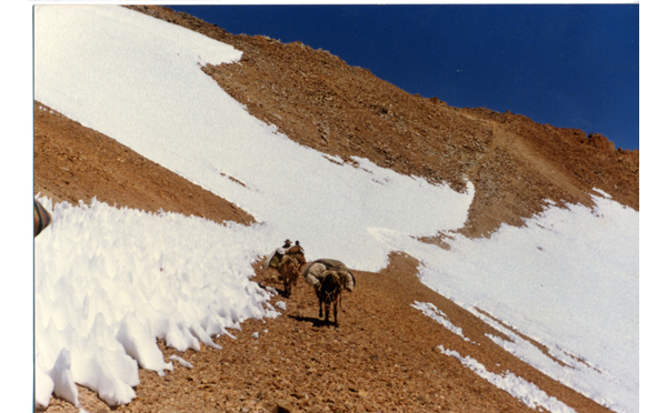 Veranadas en la cordillera de los Andes