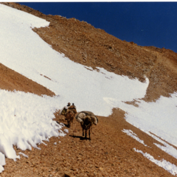 Veranadas en la cordillera de los Andes