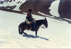 Arrieros en la cordillera de los Andes Arrieros en la cordillera de los Andes