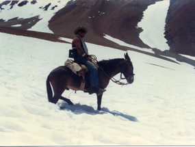 Arrieros en la cordillera de los Andes