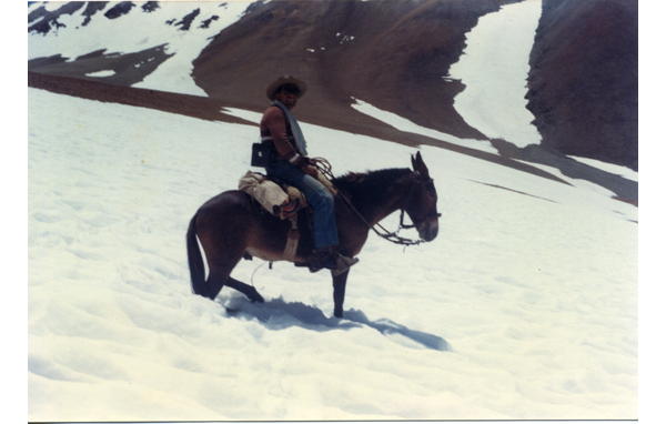 Arrieros en la cordillera de los Andes Arrieros en la cordillera de los Andes