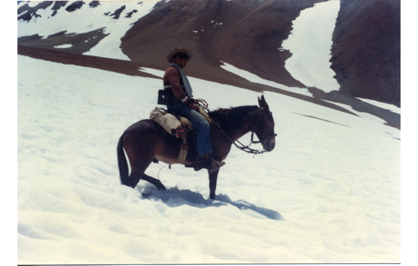 Arrieros en la cordillera de los Andes