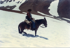 Arrieros en la cordillera de los Andes Arrieros en la cordillera de los Andes