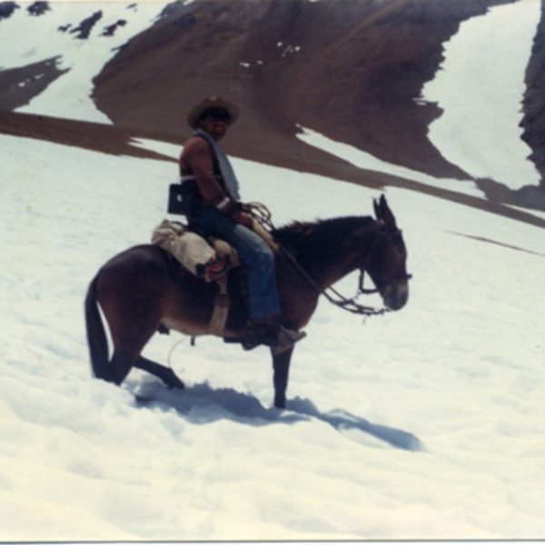 Arrieros en la cordillera de los Andes