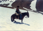 Arrieros en la cordillera de los Andes Arrieros en la cordillera de los Andes