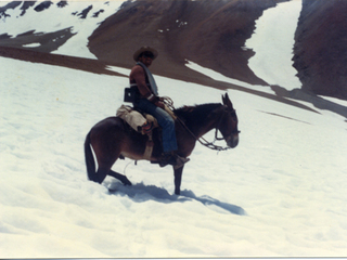 Arrieros en la cordillera de los Andes