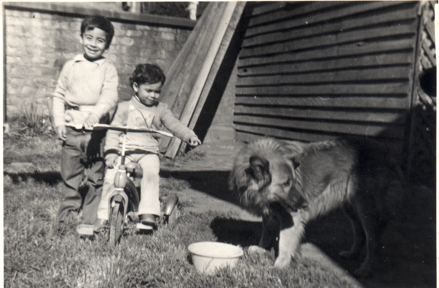 Niños jugando con perro Niños jugando con perro