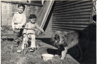 Niños jugando con perro Niños jugando con perro