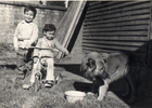 Niños jugando con perro Niños jugando con perro