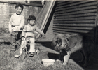 Niños jugando con perro