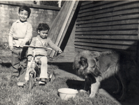 Niños jugando con perro Niños jugando con perro