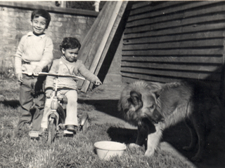 Niños jugando con perro Niños jugando con perro