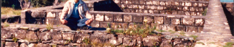 Sobre el baluarte sur del fuerte Niebla