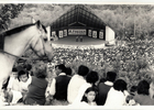 Vista del anfiteatro del Festival de Folclore Campesino