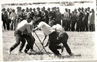 Festival de Folclore Campesino Osorno Festival de Folclore Campesino Osorno