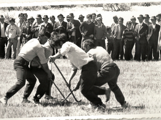 Festival de Folclore Campesino Osorno Festival de Folclore Campesino Osorno