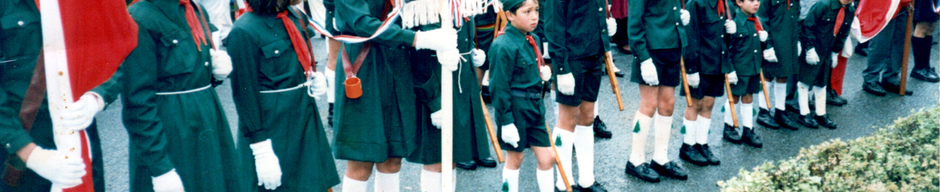 Brigada escolar Brigada escolar