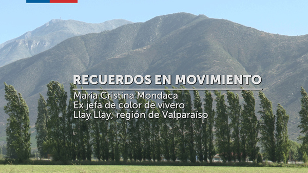 María Cristina Mondaca, Recuerdos en Movimiento