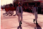 Desfile de bomberos Desfile de bomberos