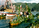 Procesión de San Pedro Procesión de San Pedro