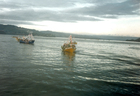 Procesión de San Pedro por la Bahía de Corral Procesión de San Pedro por la Bahía de Corral