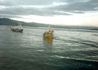 Procesión de San Pedro por la Bahía de Corral Procesión de San Pedro por la Bahía de Corral