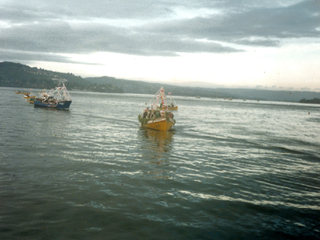 Procesión de San Pedro por la Bahía de Corral Procesión de San Pedro por la Bahía de Corral